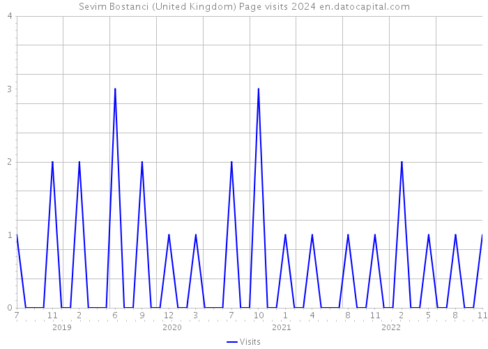 Sevim Bostanci (United Kingdom) Page visits 2024 