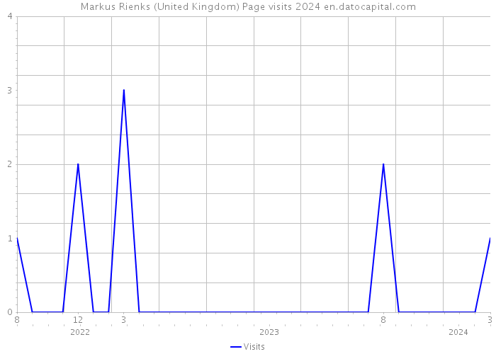 Markus Rienks (United Kingdom) Page visits 2024 