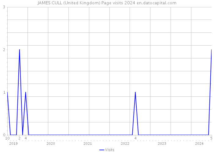 JAMES CULL (United Kingdom) Page visits 2024 