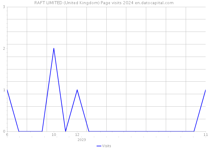 RAFT LIMITED (United Kingdom) Page visits 2024 