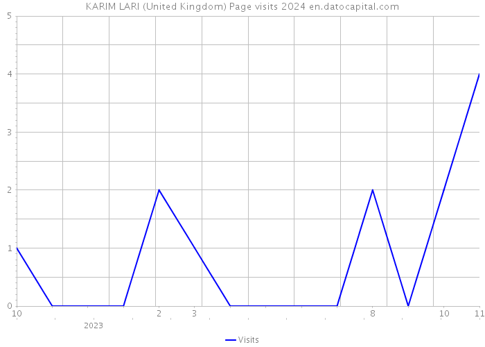 KARIM LARI (United Kingdom) Page visits 2024 
