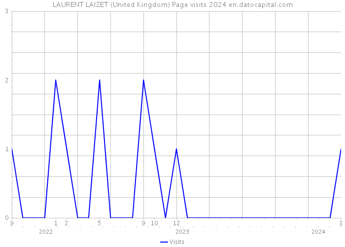 LAURENT LAIZET (United Kingdom) Page visits 2024 