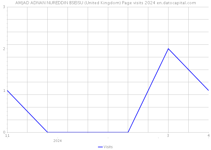 AMJAD ADNAN NUREDDIN BSEISU (United Kingdom) Page visits 2024 