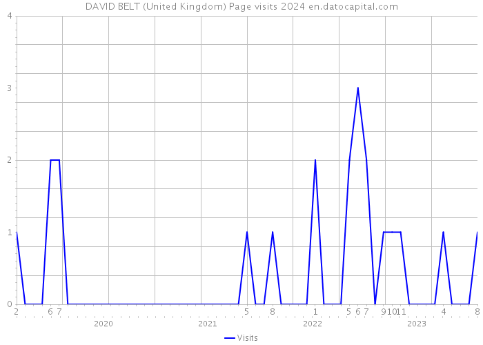 DAVID BELT (United Kingdom) Page visits 2024 