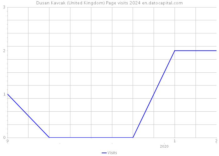 Dusan Kavcak (United Kingdom) Page visits 2024 