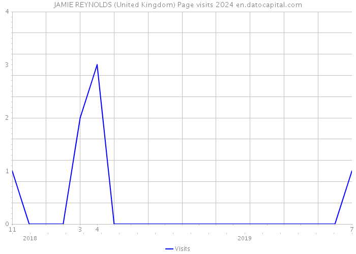 JAMIE REYNOLDS (United Kingdom) Page visits 2024 