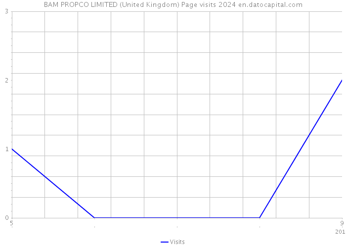 BAM PROPCO LIMITED (United Kingdom) Page visits 2024 