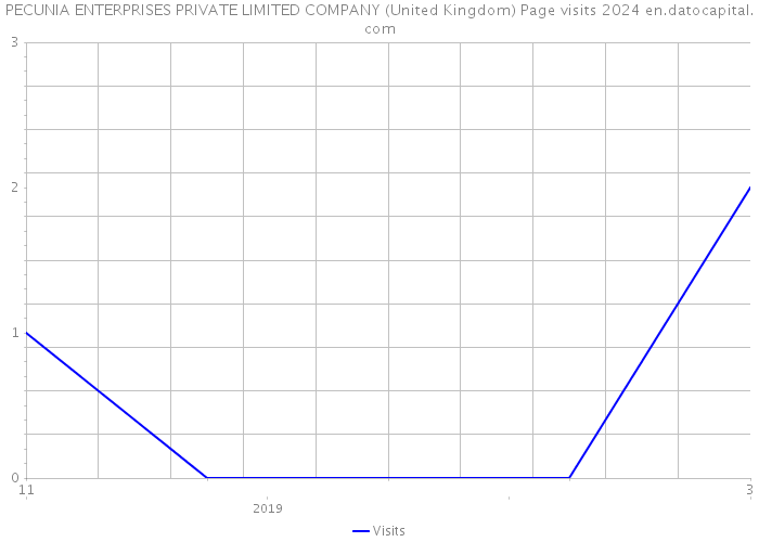 PECUNIA ENTERPRISES PRIVATE LIMITED COMPANY (United Kingdom) Page visits 2024 