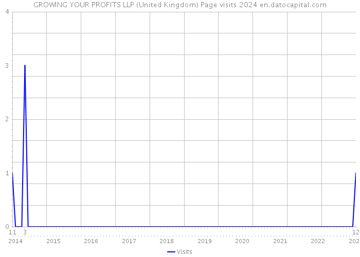 GROWING YOUR PROFITS LLP (United Kingdom) Page visits 2024 