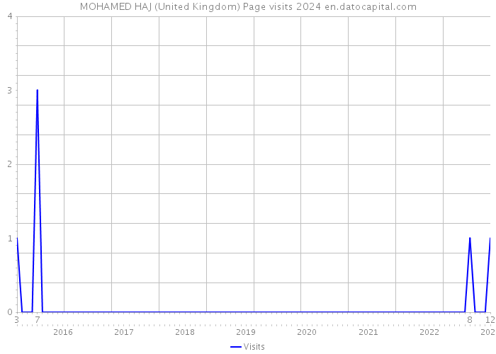 MOHAMED HAJ (United Kingdom) Page visits 2024 