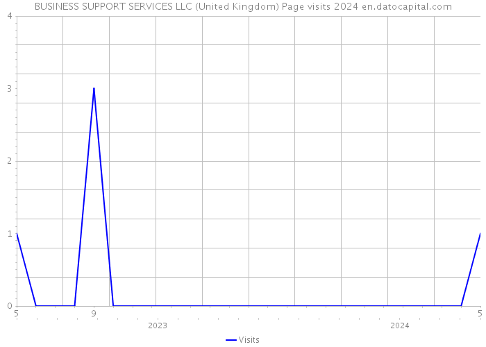 BUSINESS SUPPORT SERVICES LLC (United Kingdom) Page visits 2024 