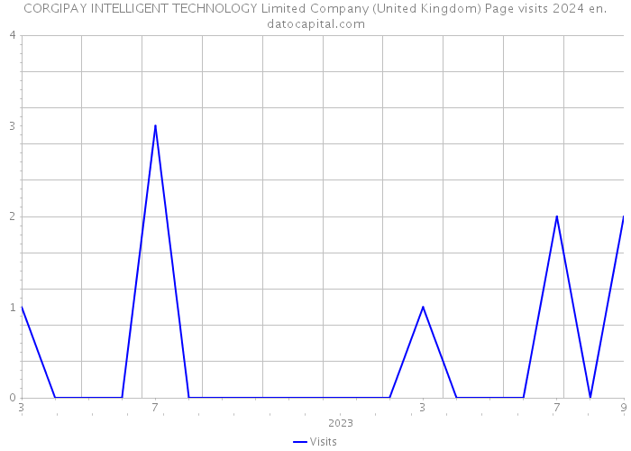 CORGIPAY INTELLIGENT TECHNOLOGY Limited Company (United Kingdom) Page visits 2024 