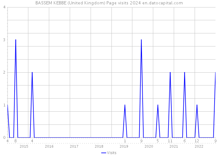 BASSEM KEBBE (United Kingdom) Page visits 2024 