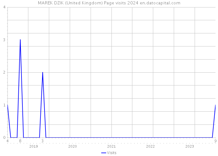 MAREK DZIK (United Kingdom) Page visits 2024 