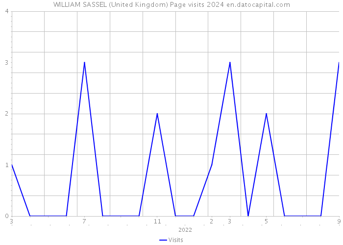 WILLIAM SASSEL (United Kingdom) Page visits 2024 