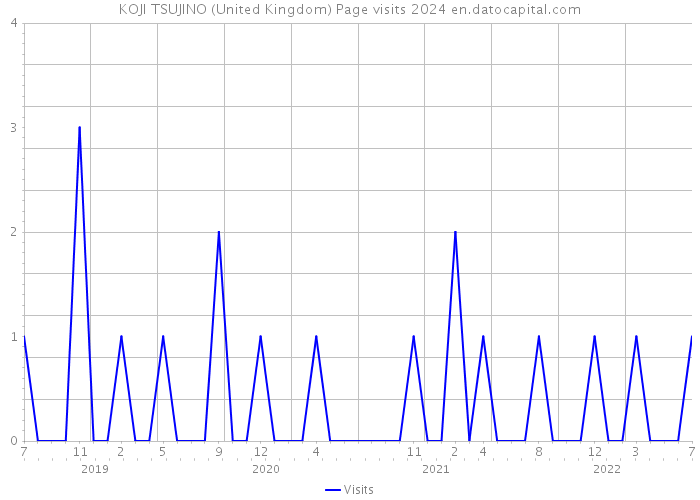 KOJI TSUJINO (United Kingdom) Page visits 2024 