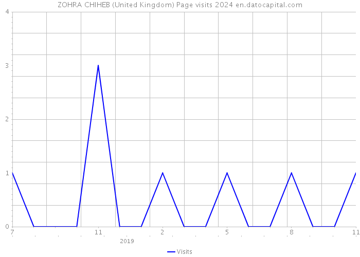 ZOHRA CHIHEB (United Kingdom) Page visits 2024 