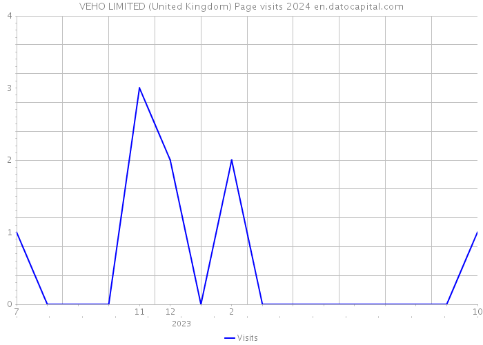 VEHO LIMITED (United Kingdom) Page visits 2024 