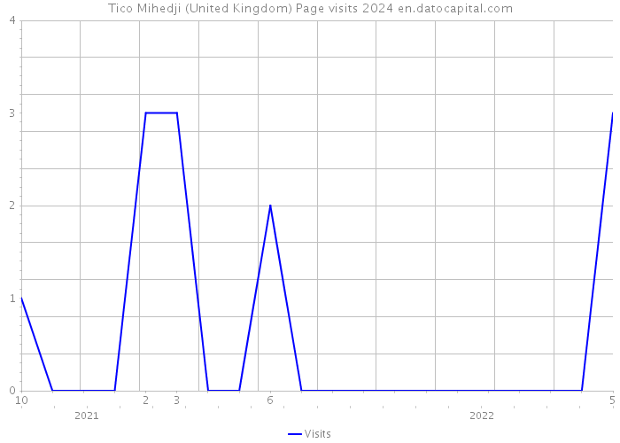 Tico Mihedji (United Kingdom) Page visits 2024 