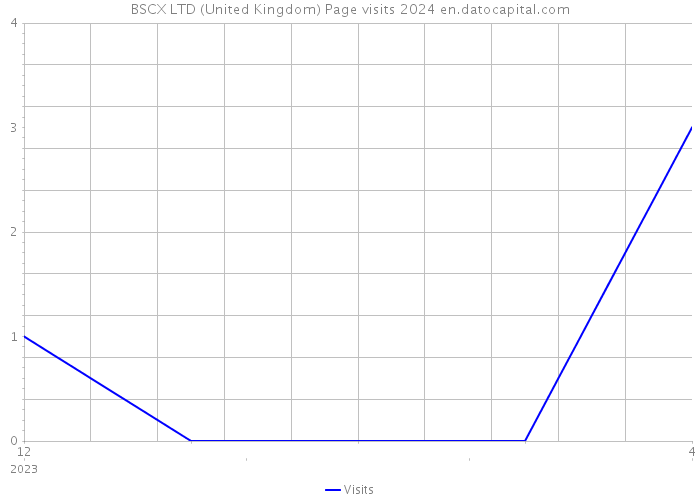 BSCX LTD (United Kingdom) Page visits 2024 