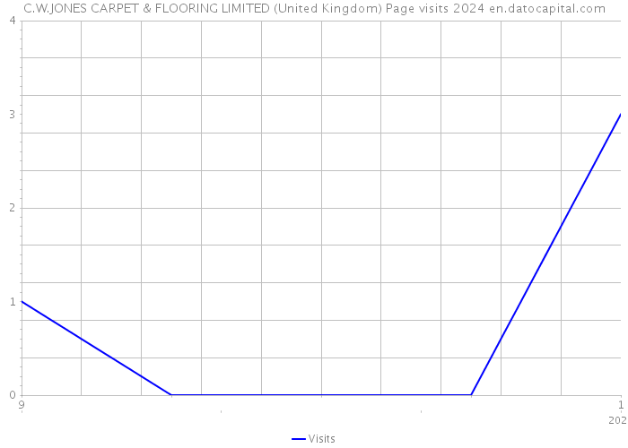 C.W.JONES CARPET & FLOORING LIMITED (United Kingdom) Page visits 2024 