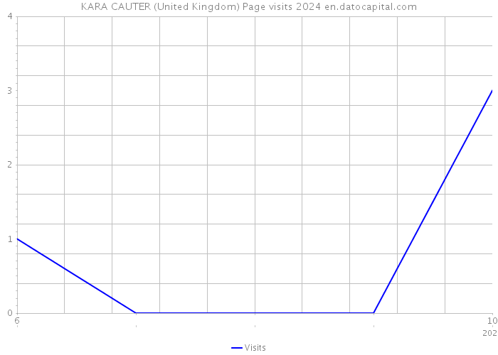 KARA CAUTER (United Kingdom) Page visits 2024 
