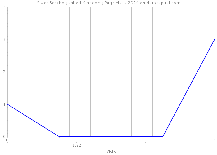 Siwar Barkho (United Kingdom) Page visits 2024 