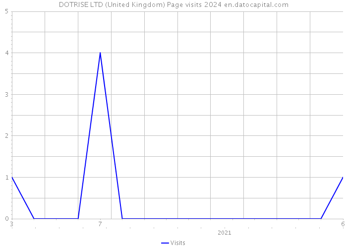 DOTRISE LTD (United Kingdom) Page visits 2024 