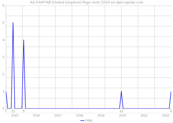 ALI KAMYAB (United Kingdom) Page visits 2024 