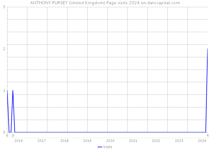 ANTHONY PURSEY (United Kingdom) Page visits 2024 