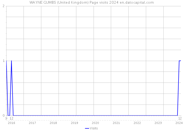 WAYNE GUMBS (United Kingdom) Page visits 2024 