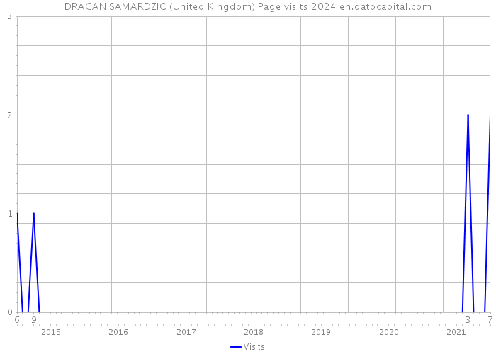 DRAGAN SAMARDZIC (United Kingdom) Page visits 2024 