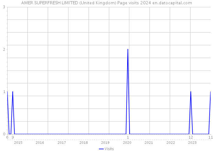AMER SUPERFRESH LIMITED (United Kingdom) Page visits 2024 