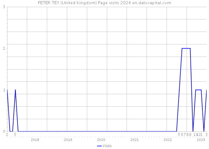 PETER TEY (United Kingdom) Page visits 2024 