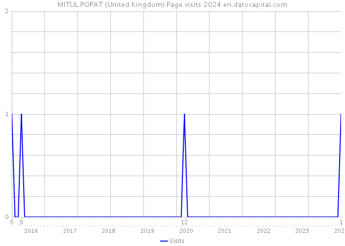 MITUL POPAT (United Kingdom) Page visits 2024 