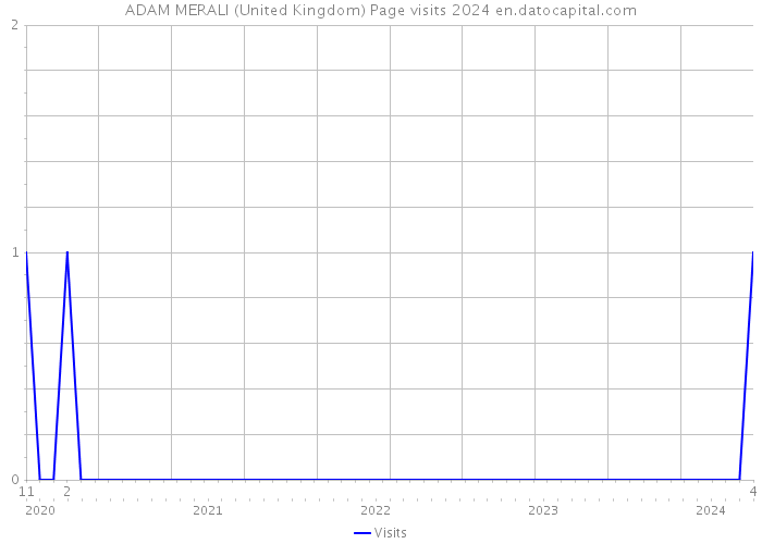 ADAM MERALI (United Kingdom) Page visits 2024 