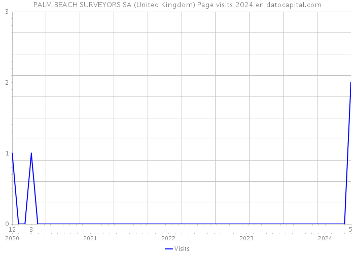 PALM BEACH SURVEYORS SA (United Kingdom) Page visits 2024 