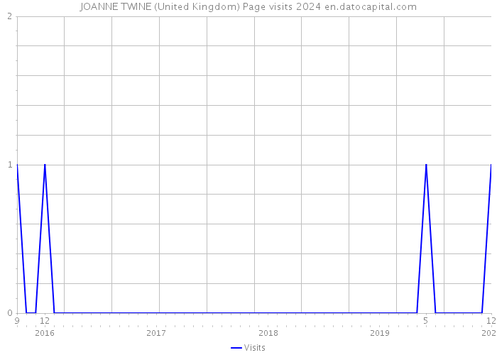 JOANNE TWINE (United Kingdom) Page visits 2024 