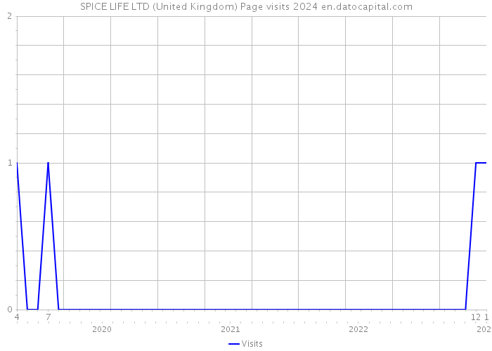 SPICE LIFE LTD (United Kingdom) Page visits 2024 