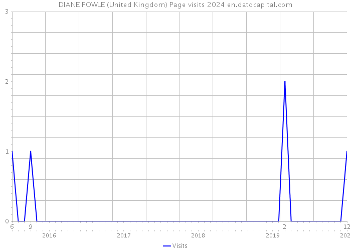 DIANE FOWLE (United Kingdom) Page visits 2024 