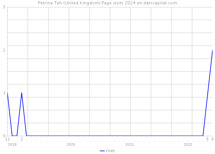 Petrina Teh (United Kingdom) Page visits 2024 