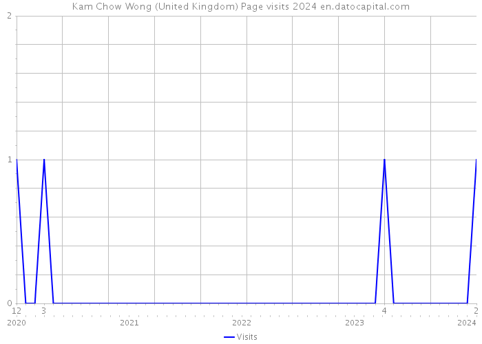 Kam Chow Wong (United Kingdom) Page visits 2024 