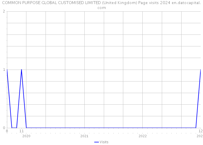 COMMON PURPOSE GLOBAL CUSTOMISED LIMITED (United Kingdom) Page visits 2024 