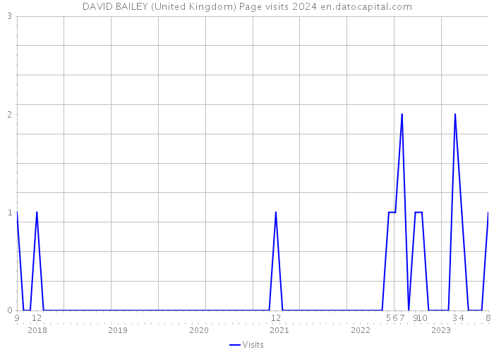 DAVID BAILEY (United Kingdom) Page visits 2024 
