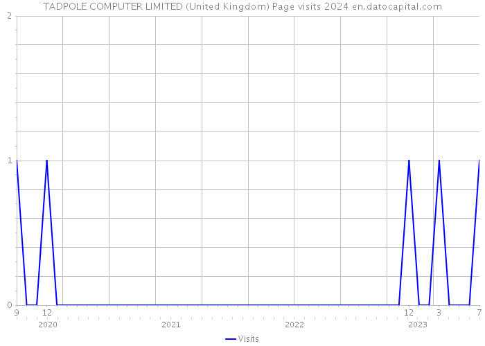 TADPOLE COMPUTER LIMITED (United Kingdom) Page visits 2024 