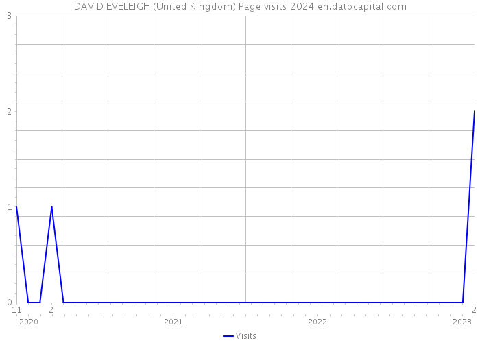 DAVID EVELEIGH (United Kingdom) Page visits 2024 