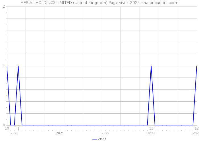 AERIAL HOLDINGS LIMITED (United Kingdom) Page visits 2024 