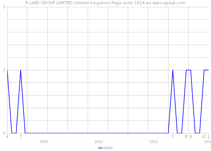 R LABS GROUP LIMITED (United Kingdom) Page visits 2024 