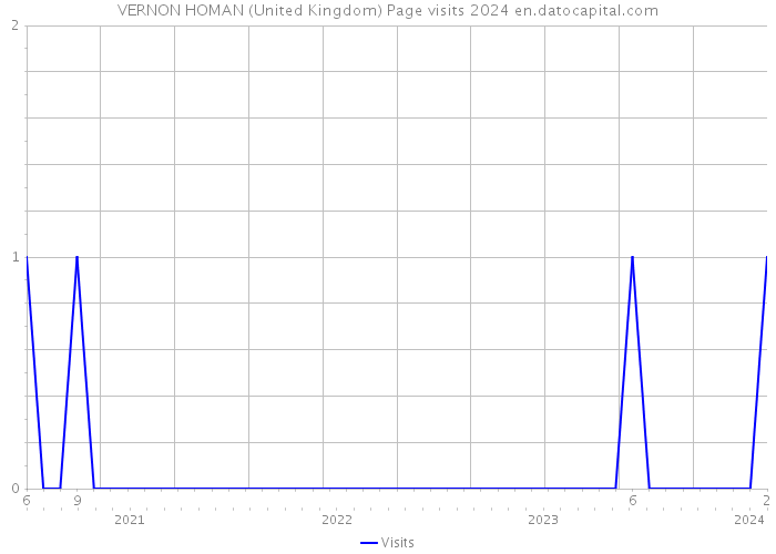 VERNON HOMAN (United Kingdom) Page visits 2024 