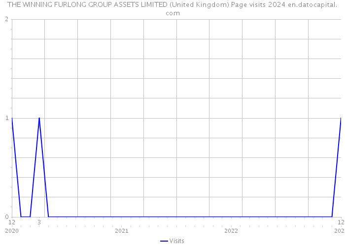 THE WINNING FURLONG GROUP ASSETS LIMITED (United Kingdom) Page visits 2024 